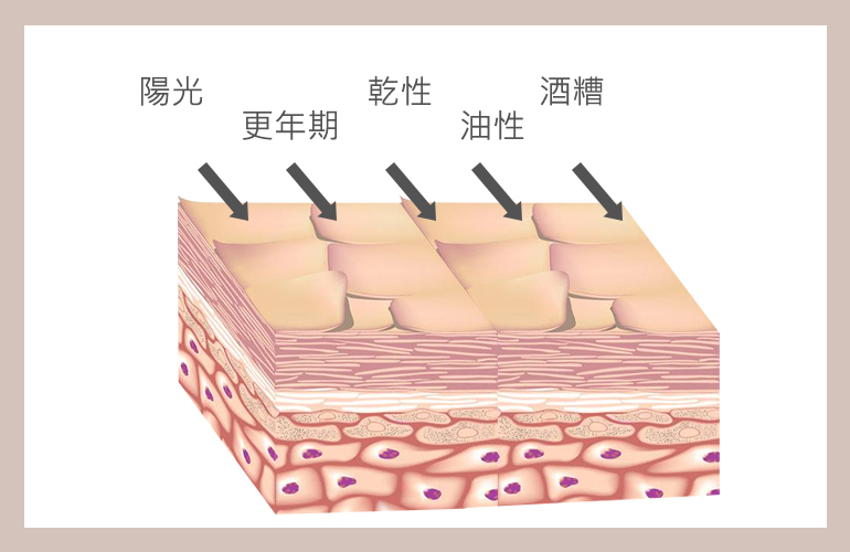 影響角質脫落的原因