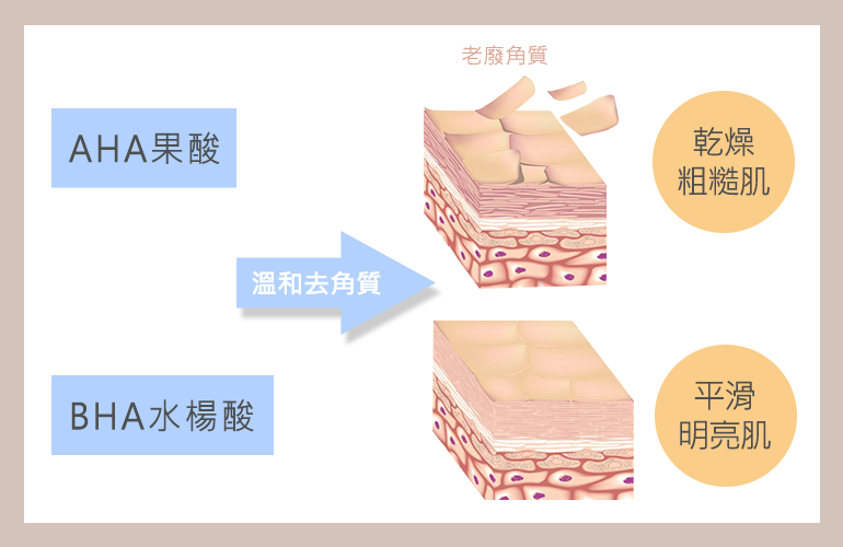 AHA果酸和BHA水楊酸都能溫和去角質，幫助調理老廢角質