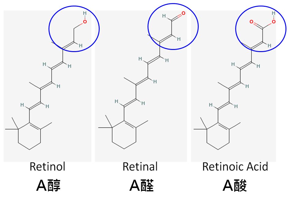 邱品齊醫師提供_維他命A成分